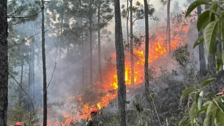 ICF incendios registrados