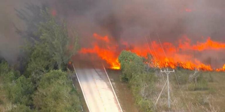 Incendios forestales en el sur de Estados Unidos generan alarma y evacuaciones