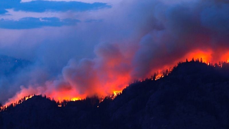 Incendios forestales diarios registra ICF