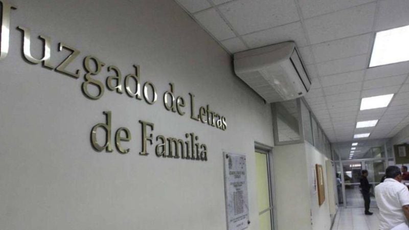 Juzgados de Letras de Familia