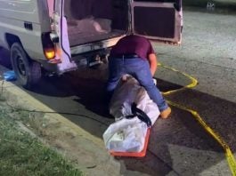 Hombre muere atropellado SPS