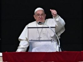 Papa reaparecerá domingo público