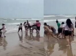 Batalla campal en Tela