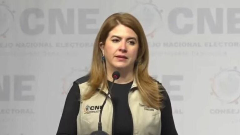 La sospecha de la comisionada presidenta del CNE: «Alguien planificó algo más»