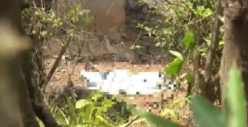 Matan a hombre y le sacaron el corazón en SPS