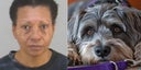 mujer-mata-a-su-perro