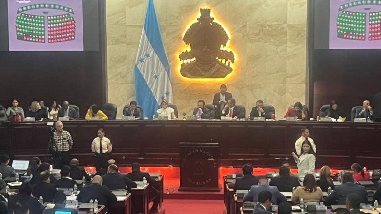 Diputado: préstamos aprobados por Congreso aumentan presión sobre Tesoro Nacional