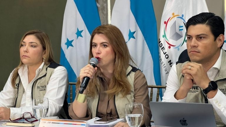 Esperamos que el CNE use el Consejo Consultivo para fortalecer el proceso electoral: Flavio Nájera