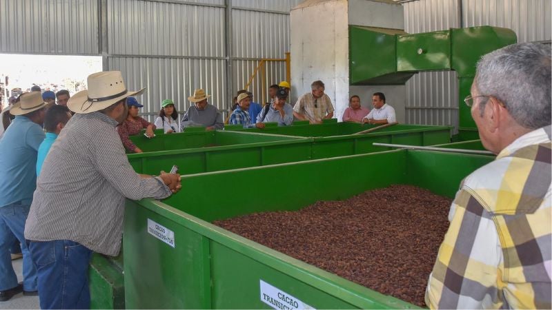 Cacao Olancho