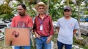 canibal-copan