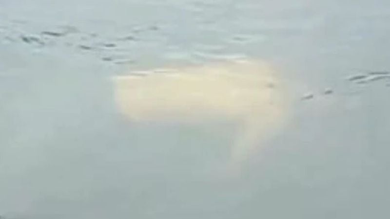 Cuerpo sin vida encontrado en el Río Humuya