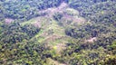 deforestacion-en-honduras