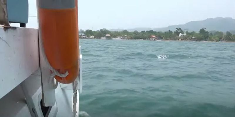 Alerta en Omoa: Autoridades buscan embarcación con 10 personas a bordo, incluyendo niños