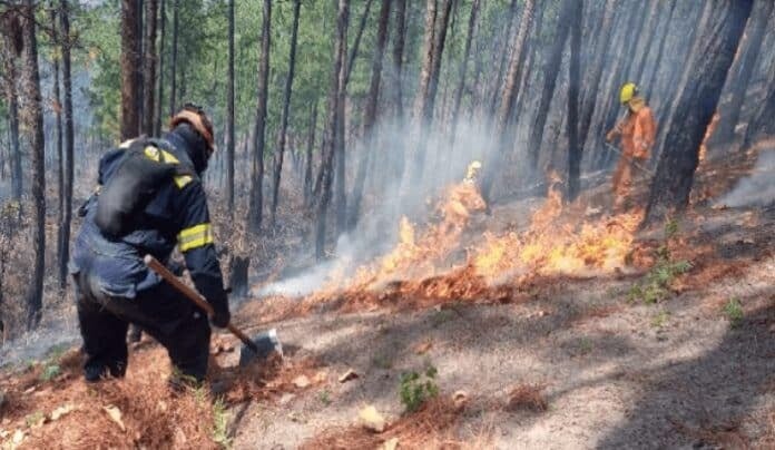 Incendios forestales en Honduras
