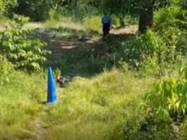 El cuerpo del fallecido fue encontrado en una zona solitaria de la colonia Brisas.