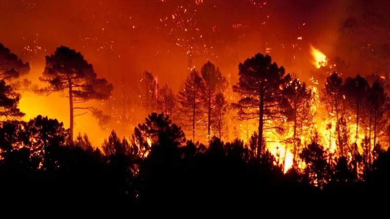 incendios en Honduras 2025