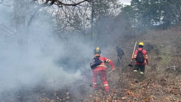 Incendios forestales en el Distrito Central son provocados de noche: ICF