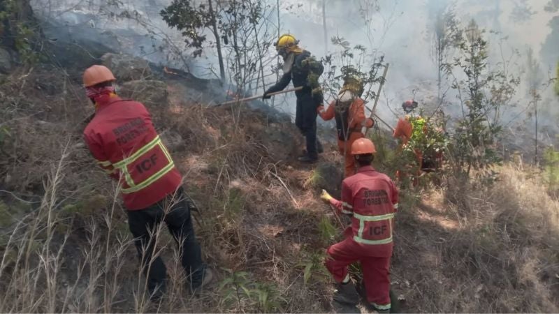 Incendios forestales
