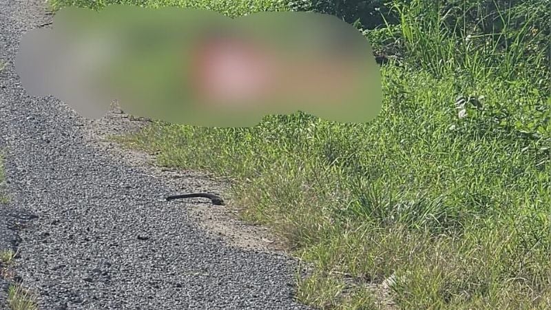 Ladrón de motos Atlántida (2)