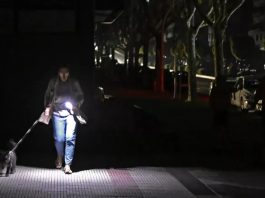 Luz