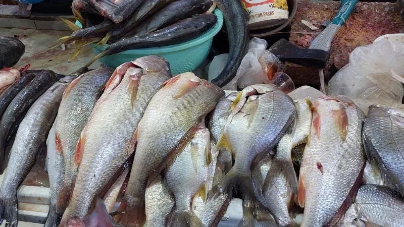 pescado contaminado