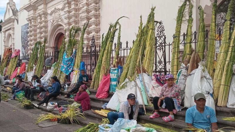 Precio palmas Domingo Ramos