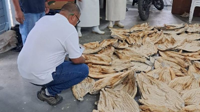 Pescado mal estado Ceiba