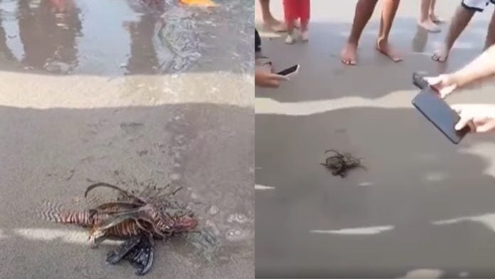 Viral