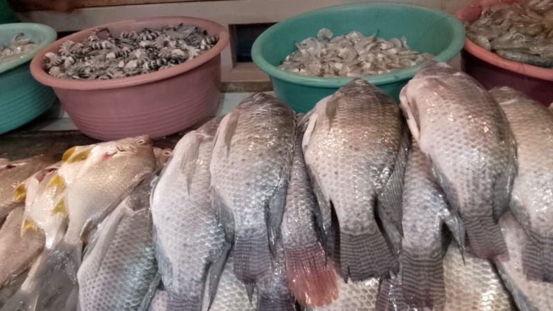 Aumentan L 5 los precios del pescado y mariscos en mercados de la capital