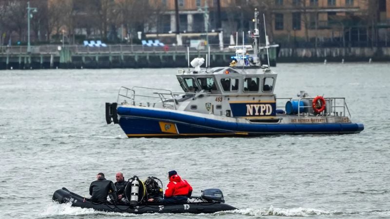 Vuelos sobre Nueva York (1)
