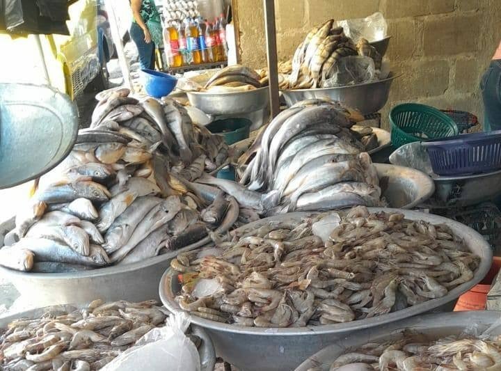 Aumentan L 5 los precios del pescado y mariscos en mercados de la capital