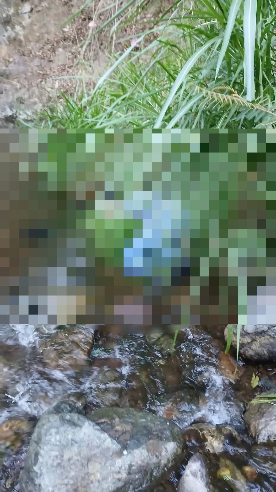 El cuerpo del doctor quedó en una quebrada.
