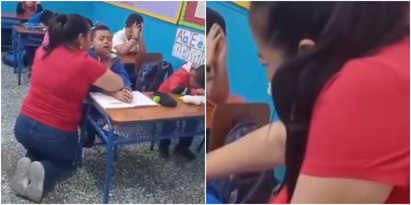 maestra