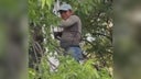migrante-subido-a-un-arbol-1