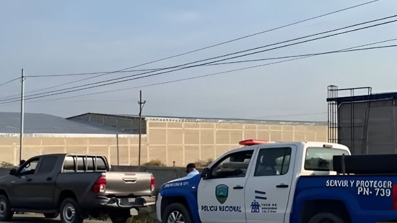 Hombre muere embestido CA-5