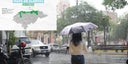 alerta-verde-15