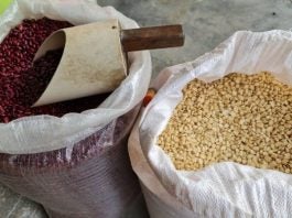 Aumenta precio del Maíz y los Frijoles
