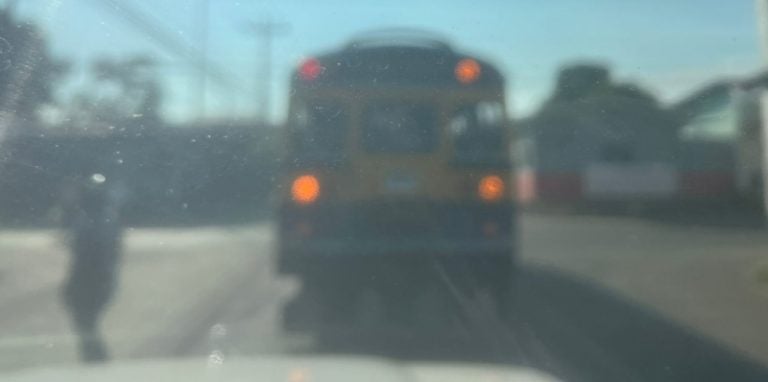 ¡Prohibido! Captan bus amarillo circulando en la línea del tren de SPS