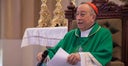 cardenal-21