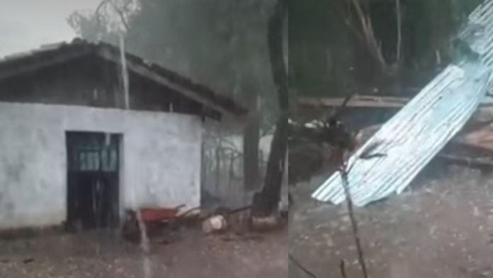 familias en riesgo Choluteca