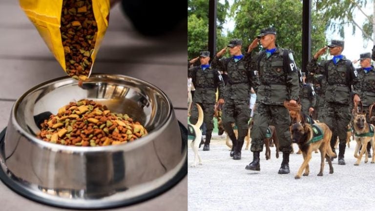 Defensa Nacional destinaría más de L5.4 millones en alimentación de escuadrón canino