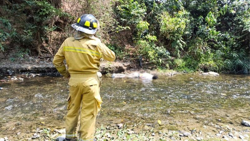 Estadounidense muerto en Comayagua Romeo Vpasqu