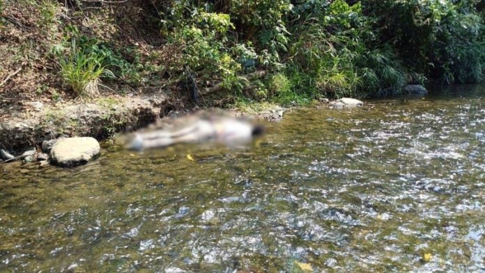 Estadounidense muerto en Comayagua Romeo Vpasqu
