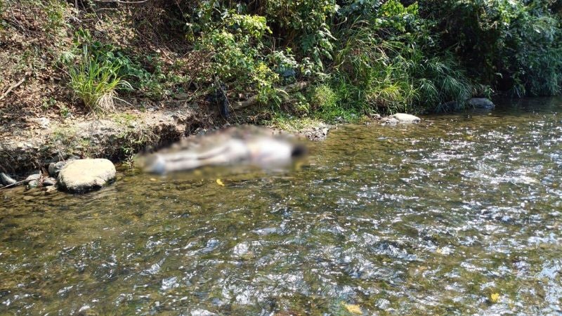 Estadounidense muerto en Comayagua Romeo Vpasqu