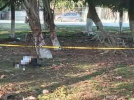 Hallan hombre sin vida en Puerto Cortés