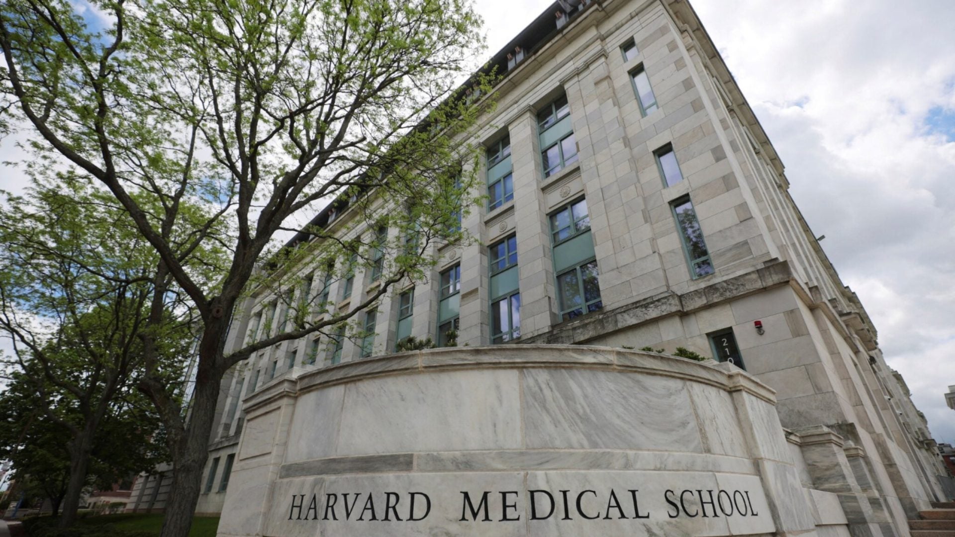 Harvard