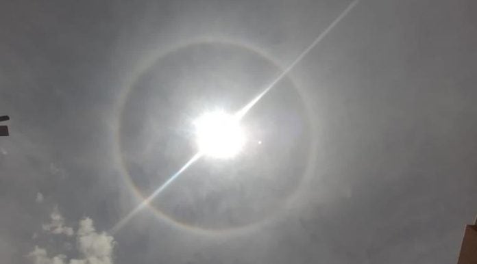 Halo