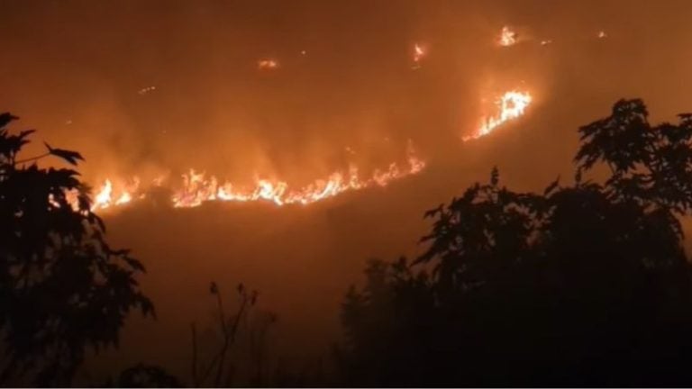 Alerta en Comayagüela: se desata incendio en el Cementerio General