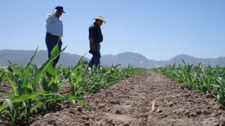 ¿Cuándo inicia el invierno en Honduras este 2025? Autoridades informan