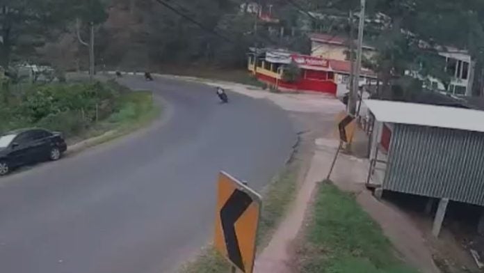 motociclistas chocan Santa Lucia
